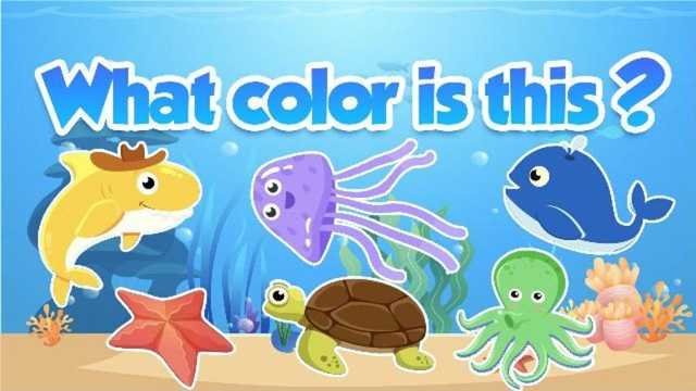Learn colors