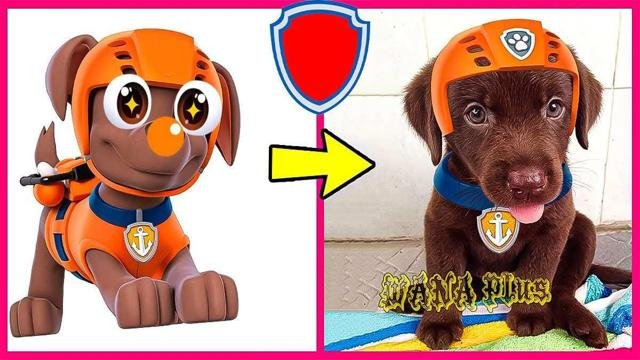 Paw Patrol & Baby Dance | Do You Know The PAW Patrol?'