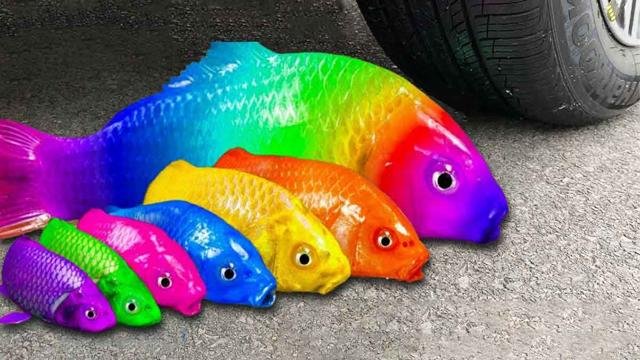 Crushing Video🚗| Car vs Rainbow🌈 color fish